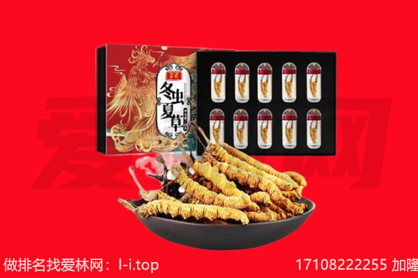 四平市梨树回收虫草.jpg
